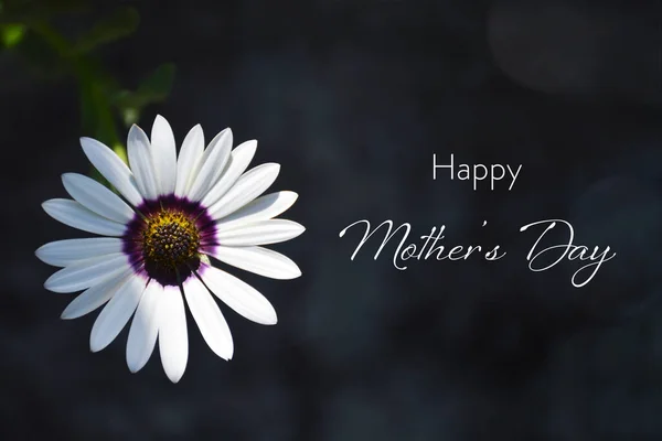 Happy Mothers Day card. Spring flower in the garden.