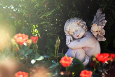 Koruyucu melek çiçeklerin içinde uyuyor.