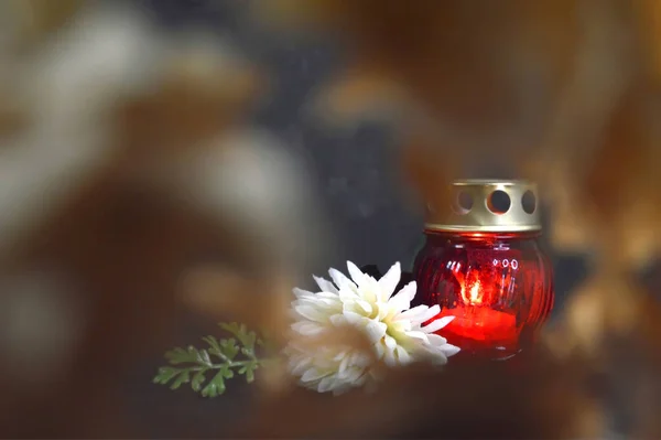 Brennende Grav Stearinlys Lanternen Krysantemum Blomst – stockfoto