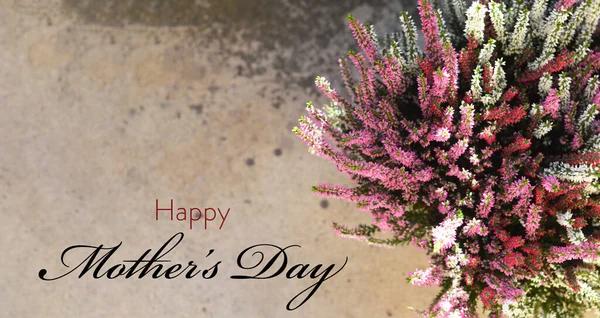 Happy Mothers Day Karte Mit Heideblüten Auf Grunge Hintergrund — Stockfoto