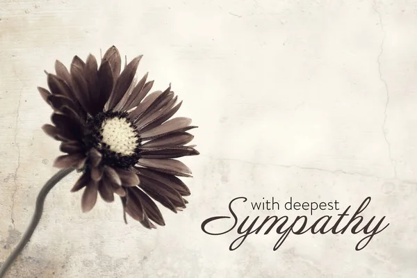 Sympathy card with flower on grunge background