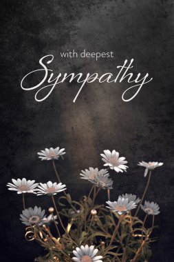 Siyah grunge arka planında beyaz papatyalar olan sempati kartı.