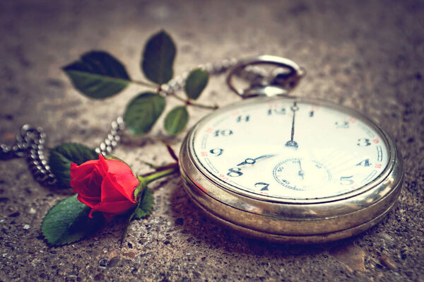 Regalo Del Día Del Padre Reloj Bolsillo Vintage Rosa Roja — Foto de Stock