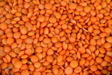 Kırmızı mercimek fasulyesi arkaplanı