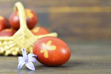 Soğan kabuğuyla boyanmış Paskalya yumurtası. Kopya alanı olan Paskalya arkaplanı