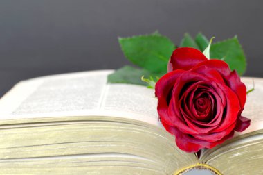 Sevgililer Günü açıldı, eski kitaplar açıldı. 