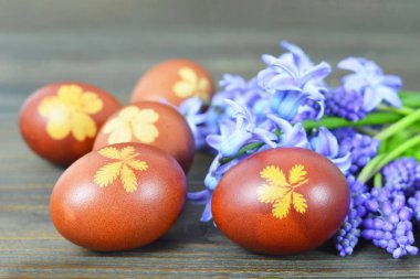 Soğan ve Muscari çiçekleriyle renklendirilmiş Paskalya yumurtaları.