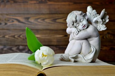 Melek, beyaz lale ve ahşap zemin üzerine eski kitap. 