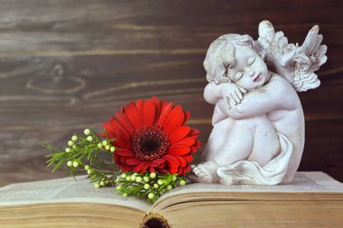 Uyuyan koruyucu melek ve kitapta kırmızı gerbera çiçeği.   