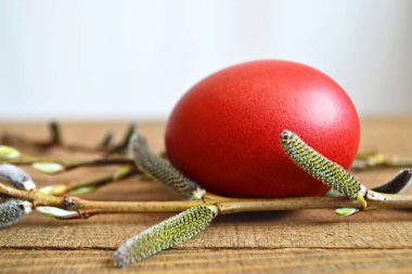 Ahşap arka planda Paskalya yumurtası ve söğütler