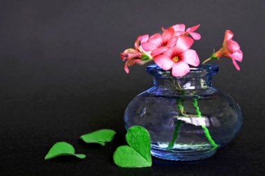 Vazodaki sevgililer günü çiçekleri ve kalp şeklindeki yapraklar
