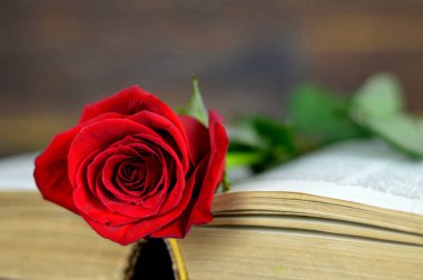 Sevgililer Günü kartında kırmızı gül vardı.