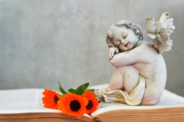 Koruyucu melek ve kırmızı çiçekler kitapta       