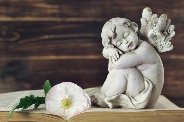 Melek koruyucu kitap ve beyaz gelincik çiçeği üzerinde uyuyor.