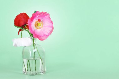  Fotokopi alanı olan vazoda haşhaş çiçekleri