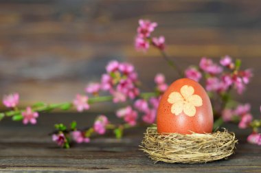 Yuvada ve ilkbaharda doğal Paskalya yumurtası 