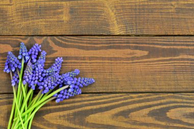 Tahta arka planda Muscari çiçekleri olan Anneler Günü ya da Babalar Günü kartı.