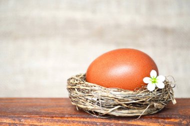 Paskalya kartı: Yuvada boyanmış yumurta ve küçük çiçek