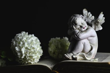 Melek heykelciği ve beyaz ortanca çiçekleri eski kitapta 