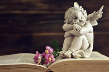 Koruyucu melek ve ejderha çiçekleri eski kitapta                                              