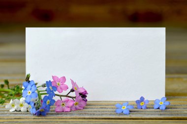 Boş tebrik kartı ve parlak bahar çiçekleri.