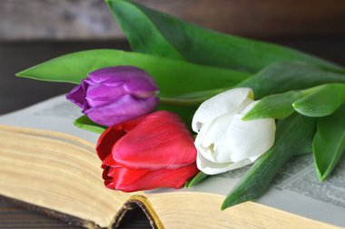 Bir buket lale ve ahşap zemin üzerine eski bir kitap.