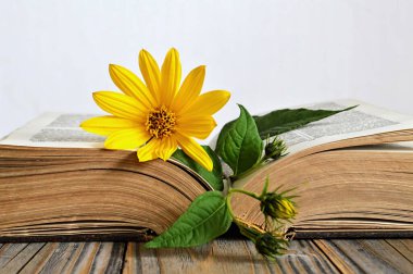 Üzerinde sarı çiçek olan Babalar Günü kartı.  