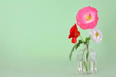 Fotokopi alanı olan vazoda gelincikler olan Anneler Günü kartı