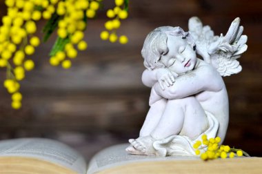 Melek ve mimoza çiçekleri eski kitaplar üzerinde