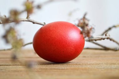 Ahşap masada kırmızı Paskalya yumurtası ve bahar dalları