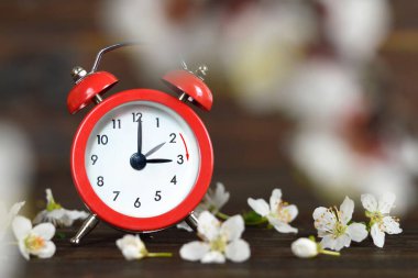  İleri sıçra. Günışığı Tasarruf Zamanı. Kırmızı antika çalar saat ve kiraz çiçeği. 