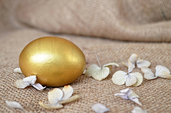 Золотое пасхальное яйцо и лепестки цветов на холсте