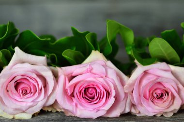 Pembe güller çiçekli kenar. Üç pembe güllü Anneler Günü kartı.