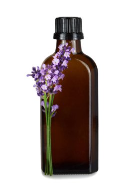 Beyaz arka planda izole edilmiş bir şişe lavanta yağı.