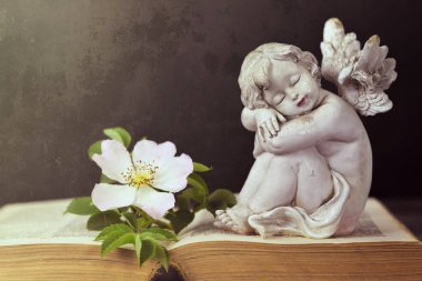 Koruyucu melek açık bir kitapta uyuyor. 