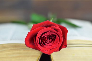 Sevgililer Günü eski kitaptan yükseldi, romantik bir geçmişi var.