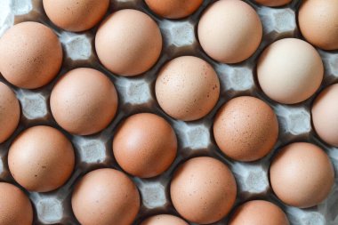 Kağıt tepside birçok tavuk yumurtasının arka planı