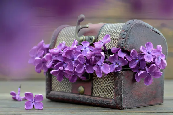 Anniversary card with lilac flowers in vintage treasure chest