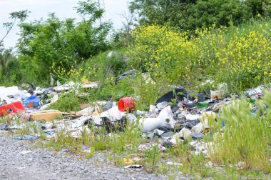 Doğadaki çöplük. Çevre kirliliği. 