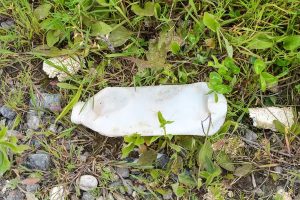 Çimlerde terk edilmiş plastik şişe. Doğadaki çöpler. Çevre kirliliği. 