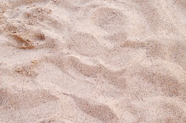 Kopyalama alanı olan kumsal arkaplanı