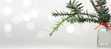 Bulanık arka planda yılbaşı ağacı dalları 