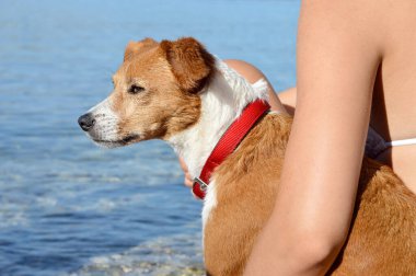 Deniz arka planında köpeği olan kadın, yakın plan.