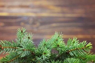 Ahşap zemin üzerinde noel ağacı dallarından oluşan yaratıcı bir düzen.. 