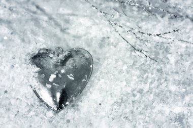 Mutlu Noeller ve mutlu yıllar konsept kartı. 