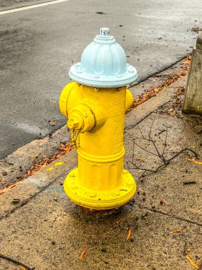 Klasik Amerikan tarzında parlak sarı bir yangın musluğu sokakta belirgin bir şekilde duruyor. Kalın rengi, şehir altyapısındaki güvenlik ve hazırlık durumunu sembolize ederek çevre çevreyle çelişiyor. Bu ikonik acil durum ekipmanı..
