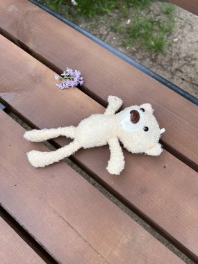 A lonely white teddy bear left forgotten on a bench. The soft plush toy, abandoned in the open, evokes a sense of nostalgia and innocence. Its presence on the bench contrasts with the surrounding environment, highlighting a moment of solitude. clipart