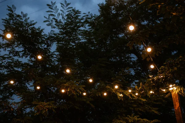 stock image atmospheric warm light bulbs wrapped in garlands to decorate the holiday