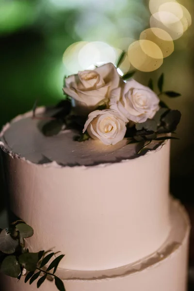 부부의 결혼식에서 케이크 — 스톡 사진