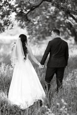 the groom and the bride are walking in the forest on a bright day